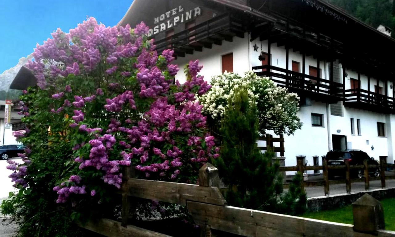 Hotel Rosalpina ร็อคคา ปิเอโตเร ภายนอก รูปภาพ